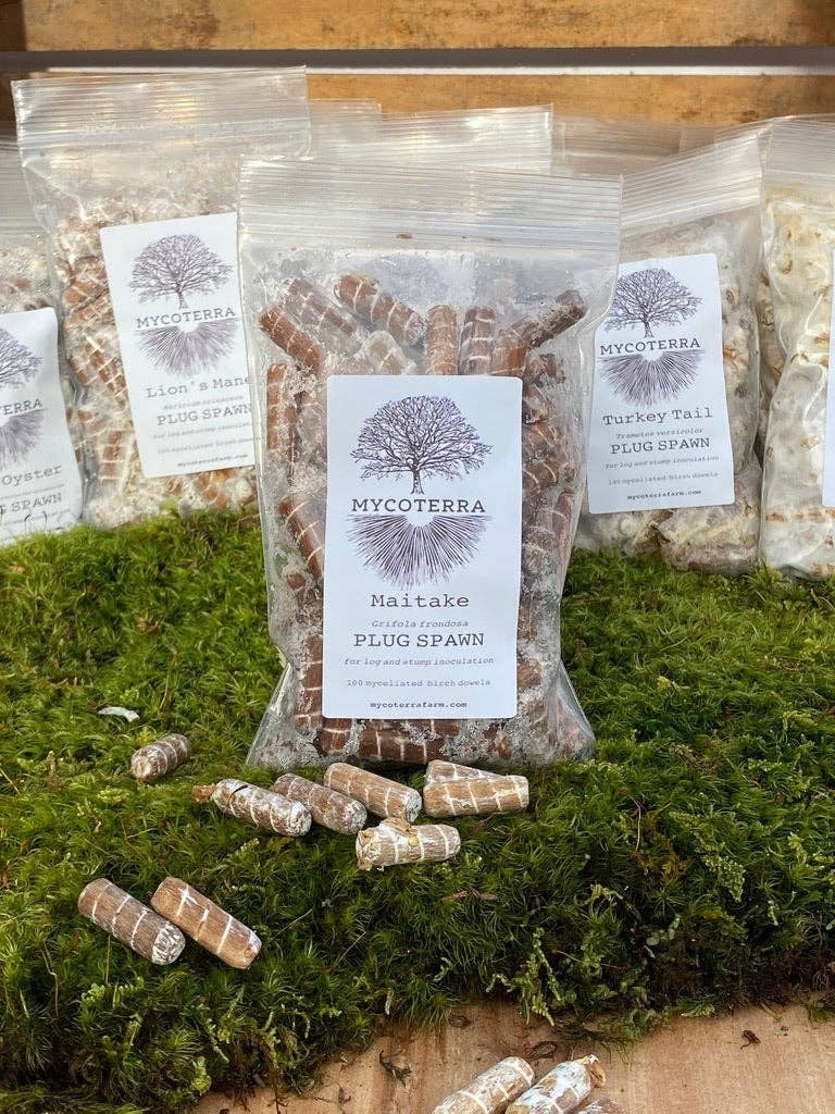 Maitake Mushroom Plug Spawn Waypoint